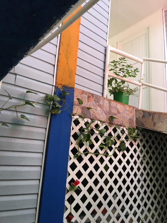 Bluehouse Sai Otel San Andrés Dış mekan fotoğraf